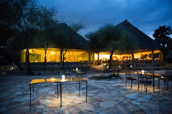 Tarangire National Park Wildlife Safari Lodges