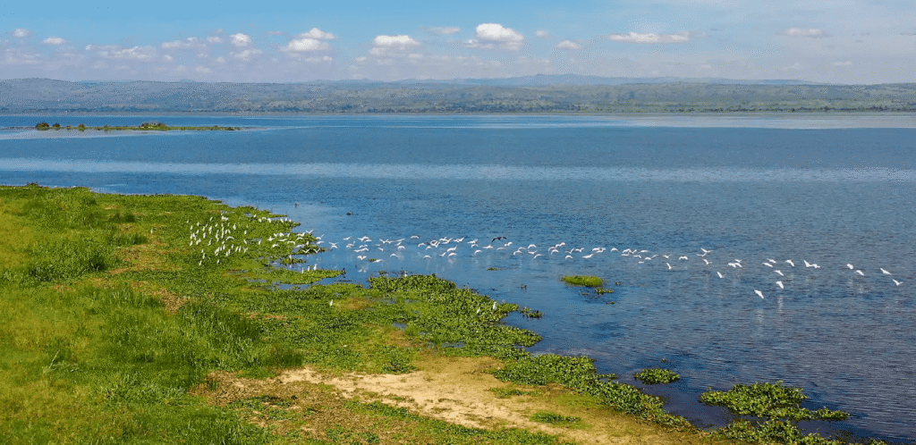Nile Boat Safari at Murchison Falls